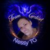 nessyteamgesteart