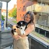 bubble.the.aussie