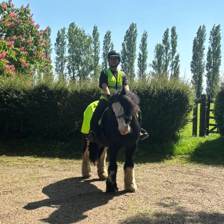 @muddyboots_pony_therapy
