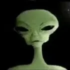 thedumpickle