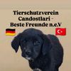 tierheim.candostl