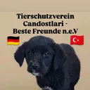 @tierheim.candostl