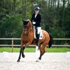 lvdp_equestrian