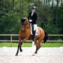 @lvdp_equestrian