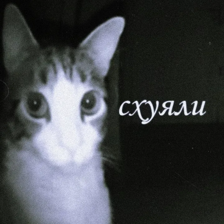 cxyali0