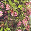 @the1nonly.y0u_knxw