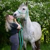 crazy.mare.daisy