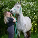 @crazy.mare.daisy