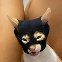 @cirooscugnizz