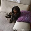 lapetitelily1