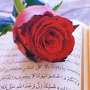 @salmag25