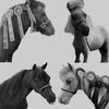cm_miniatures