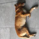 @videodonnedivertenti0
