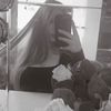 melia_hro