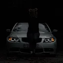 @blacklist.306