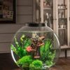 zooaquarium3
