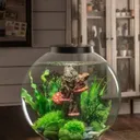 @zooaquarium3