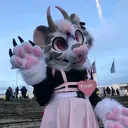@pinktigerlily_