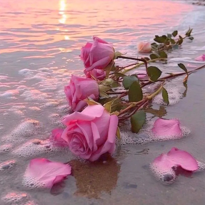 @ay__nature