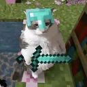 @f1blitz0
