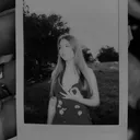 @denelyn.stv