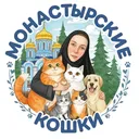 @user376558052
