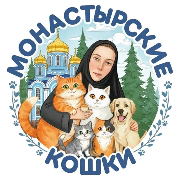 @user376558052