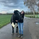 @hannah.kueckels