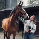 @lotte.bibi