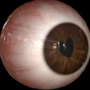@0.musiceye.0