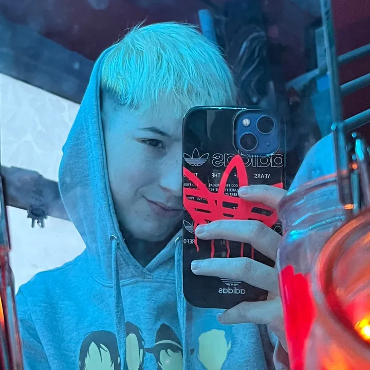 vib3swith_logz