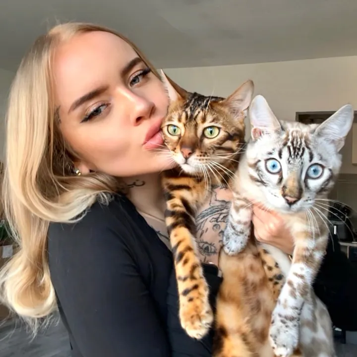 @aalinnnaa