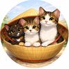 3cat.behavior