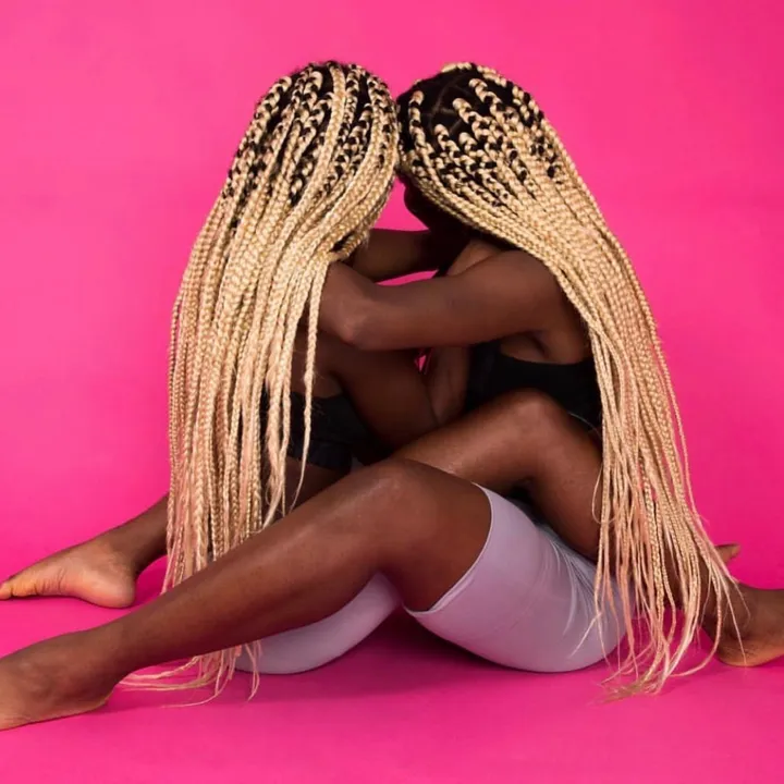 @twinsbraided