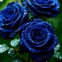 @behappy777_