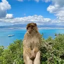 @maxim.gm46