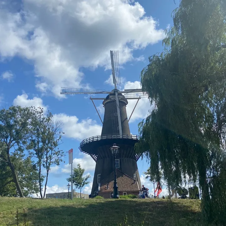 @leidenlocal