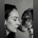 @perisstreunerliebe