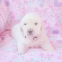@s3owan