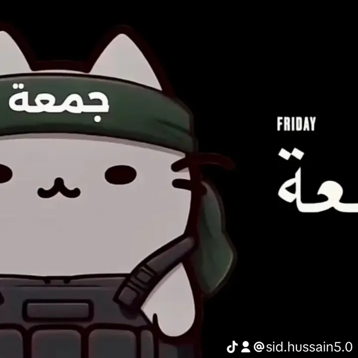 sid.hussain6.0