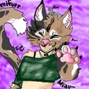 @yumi_furr