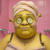 shreko_sullivan