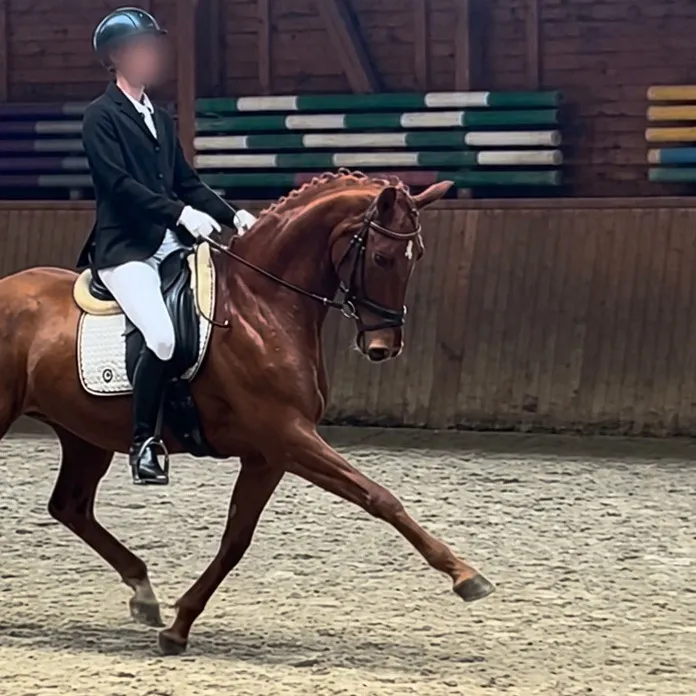 @diaryofequestrian