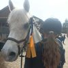 _thea_missfeld_