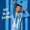 @skybluebarmy
