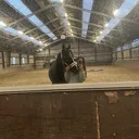 @eqq_jill
