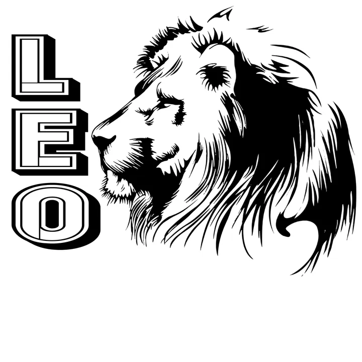 @the_leoo0_