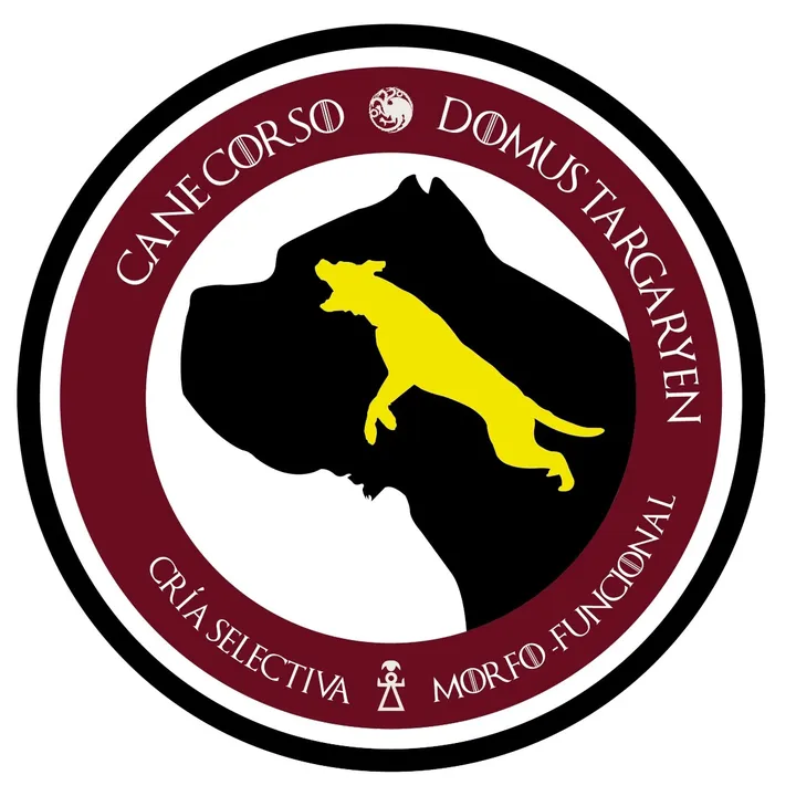 canecorsodomustargaryen