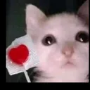 @egonkowalski080
