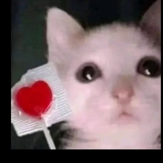 @egonkowalski080